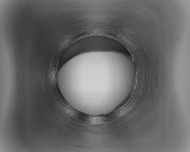 X0000111800336200907231000