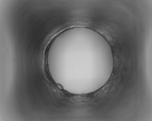 X0000111800338200907230959