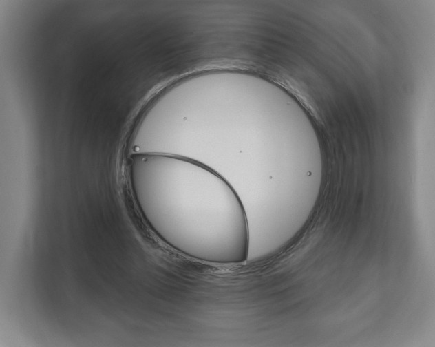 X0000111800348200907231000