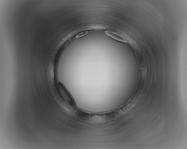 X0000111800350200907231000
