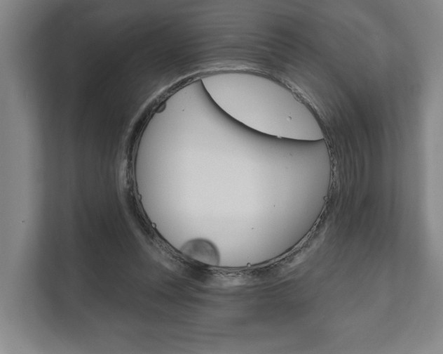 X0000111800351200907231000