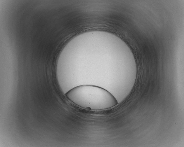 X0000111800360200907231000