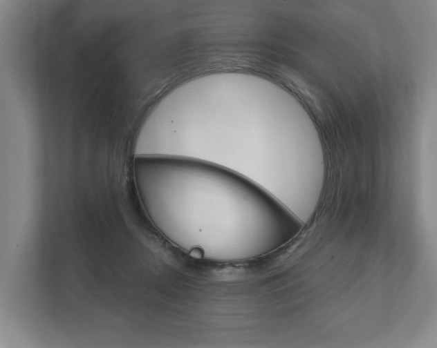 X0000111800362200907231000