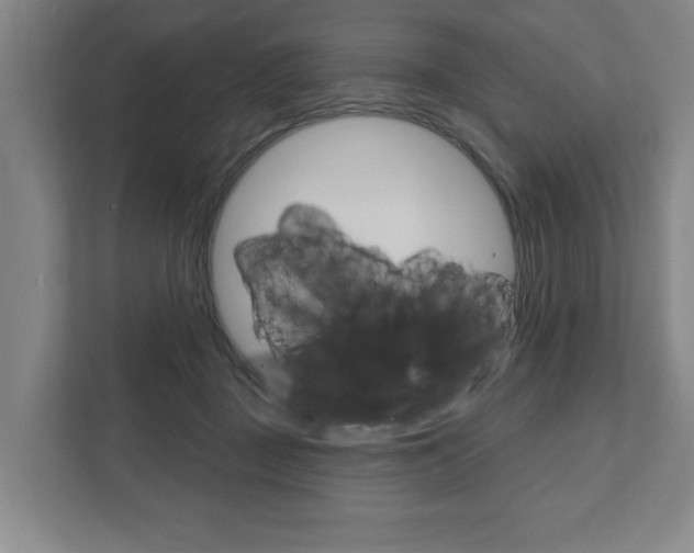X0000111800363200907231000