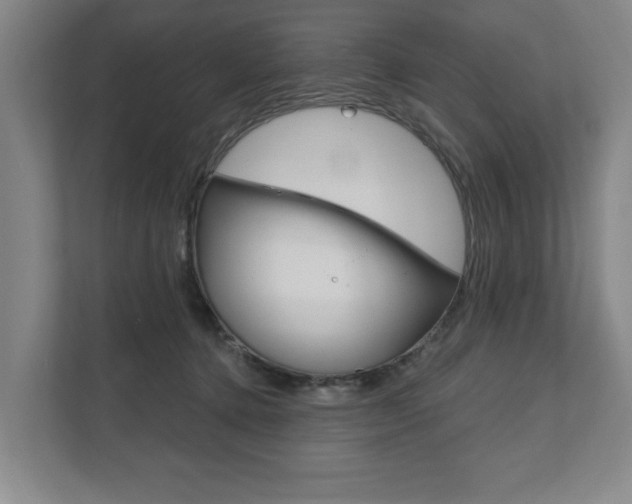 X0000111800368200907231000