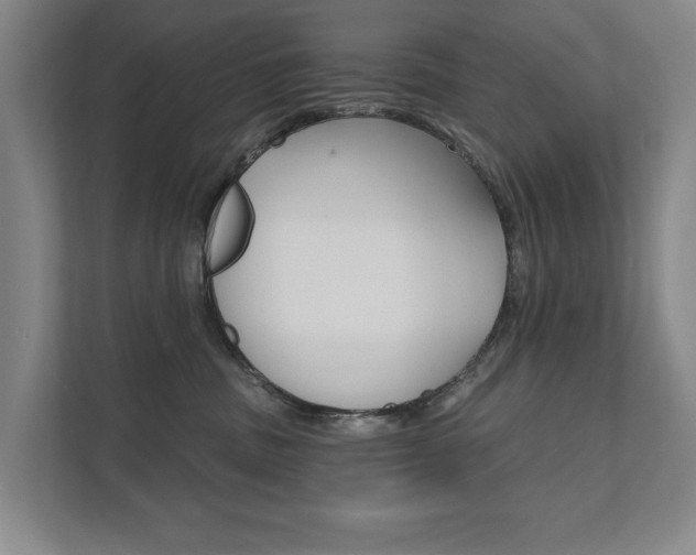 X0000111800379200907231000