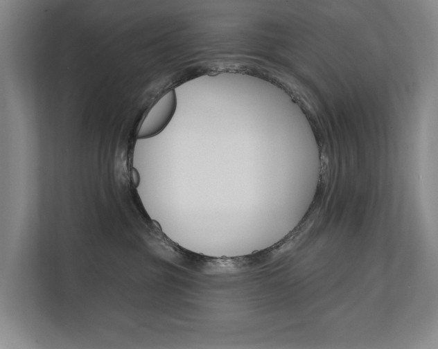 X0000111800381200907231000