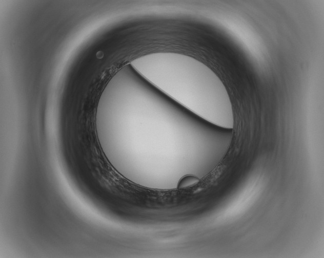 X0000111800383200907231000