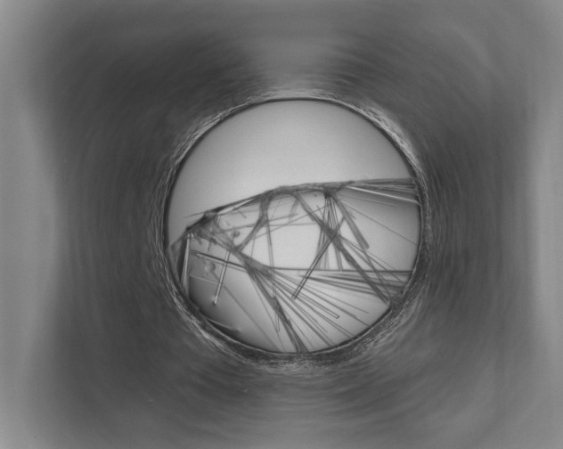 X0000111800385200907230959