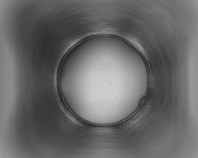 X0000111800389200907230959