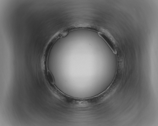 X0000111800395200907230959
