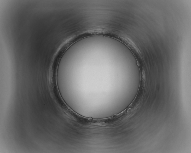X0000111800396200907230959