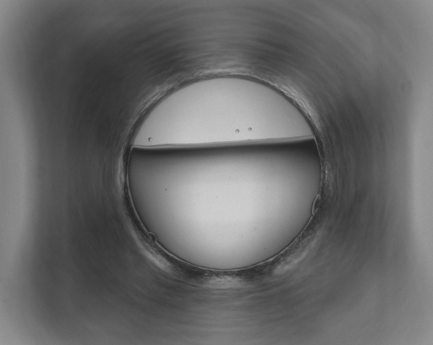 X0000111800397200907230959