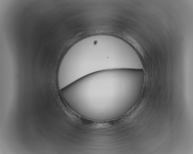 X0000111800401200907230959
