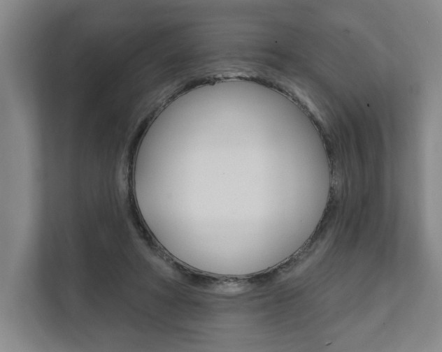 X0000111800402200907230959