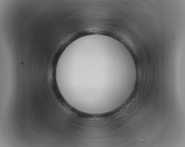 X0000111800404200907230959