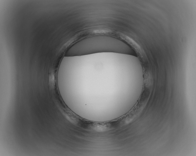 X0000111800405200907230959