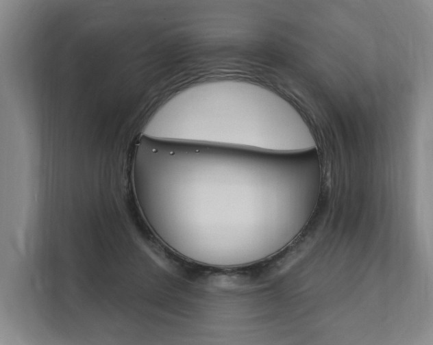 X0000111800408200907230959