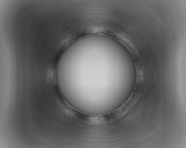 X0000111800415200907230959