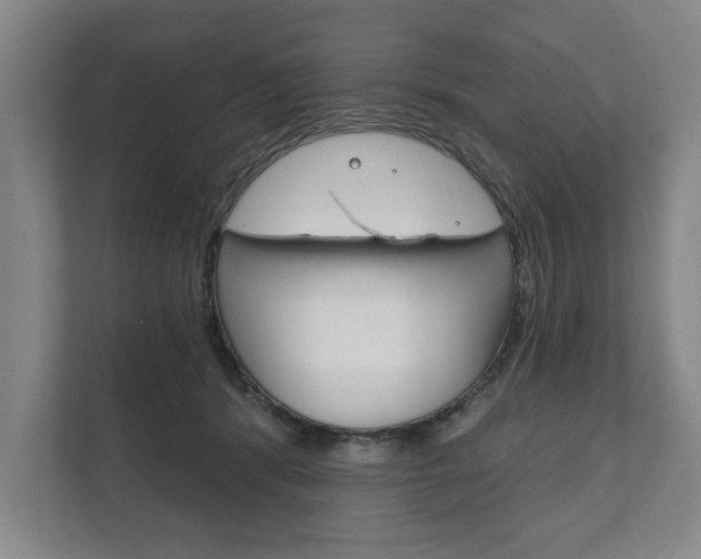 X0000111800416200907230959