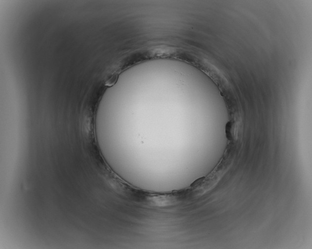 X0000111800417200907230959