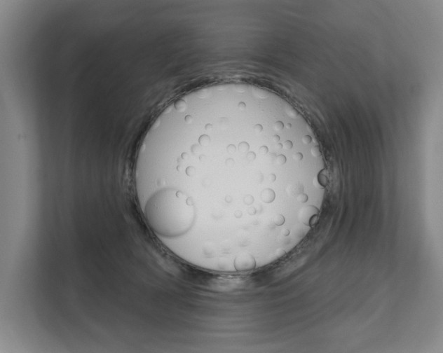 X0000111800418200907230959