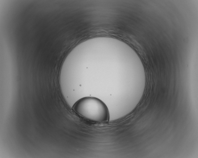 X0000111800419200907230959
