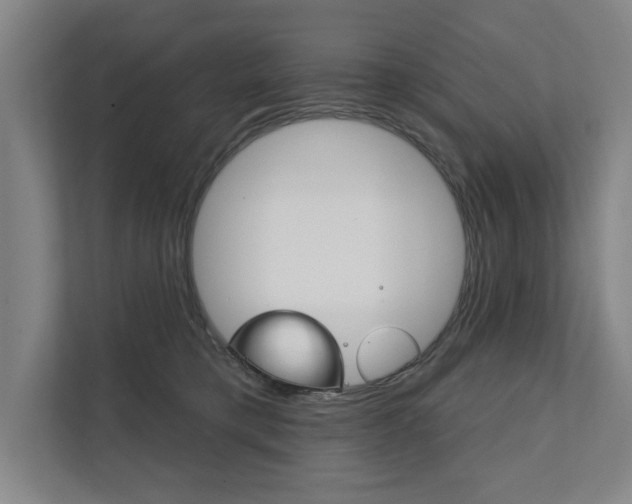 X0000111800421200907230959
