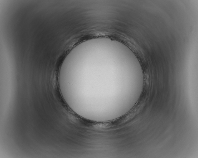 X0000111800422200907230959