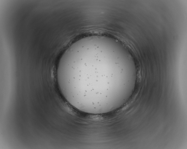 X0000111800424200907230959
