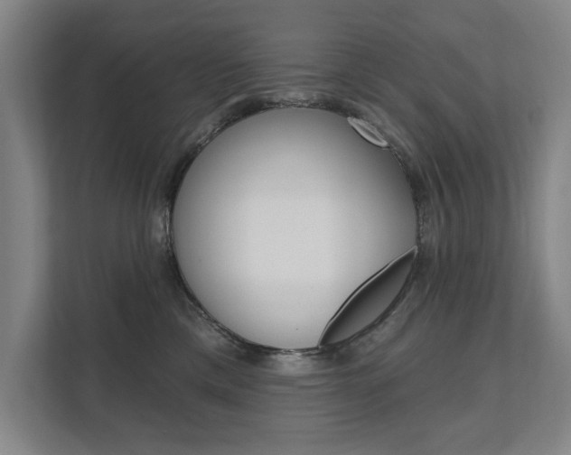 X0000111800425200907230959