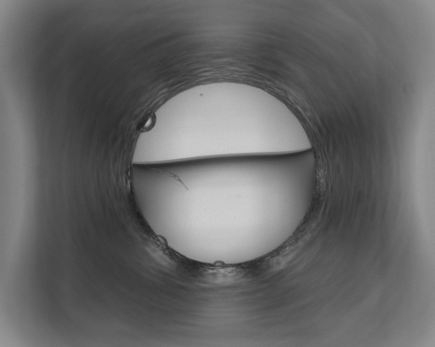 X0000111800428200907230959