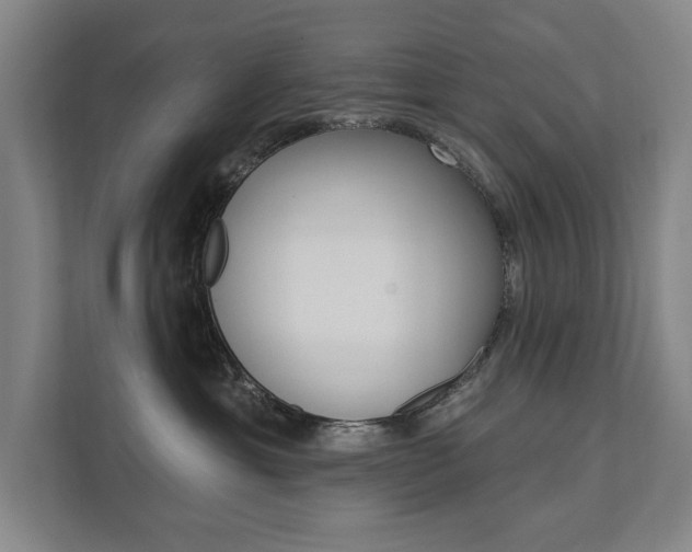 X0000111800429200907230959