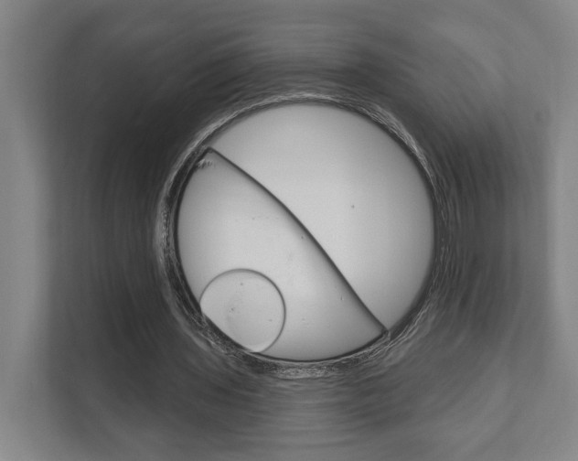X0000111800435200907230958