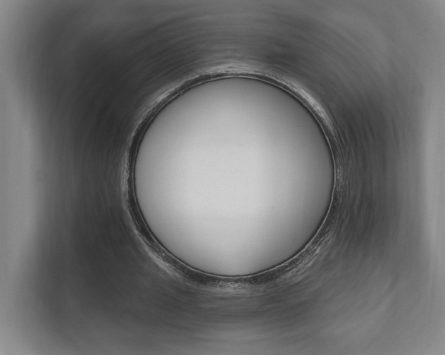 X0000111800437200907230958