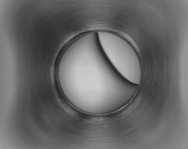 X0000111800439200907230958