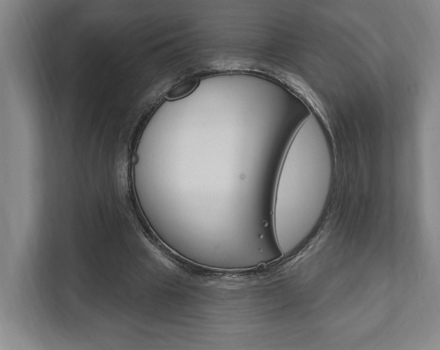 X0000111800441200907230958