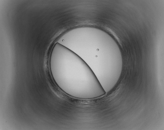 X0000111800443200907230958