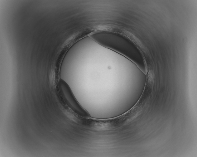 X0000111800444200907230958