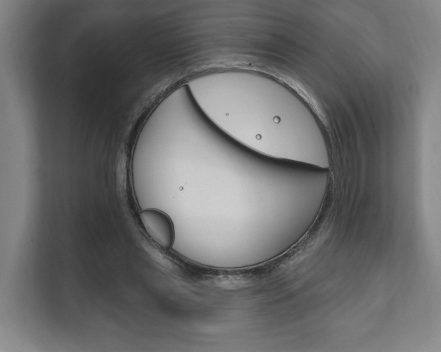 X0000111800445200907230958