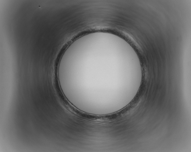 X0000111800447200907230958