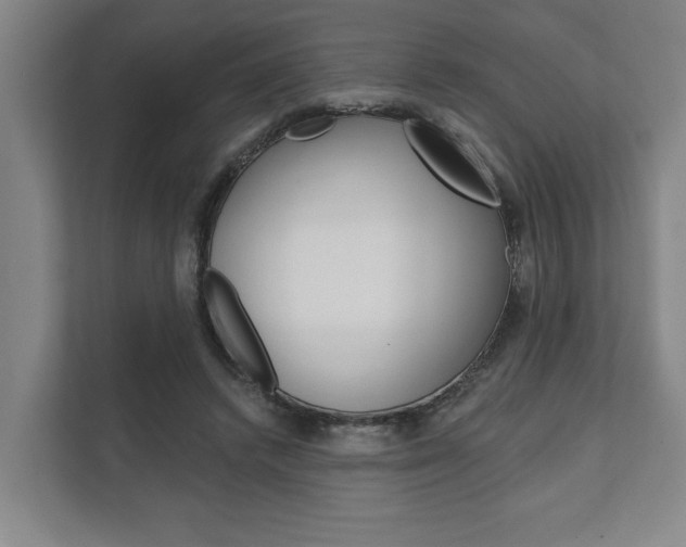 X0000111800448200907230958