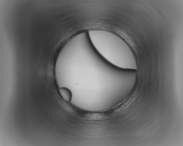 X0000111800449200907230958
