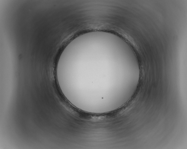 X0000111800450200907230958