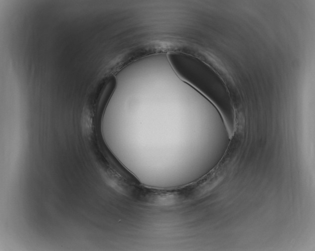X0000111800456200907230959