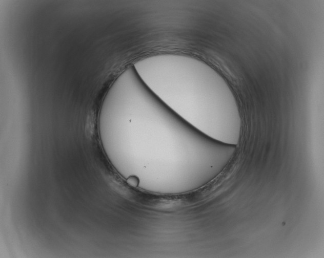 X0000111800458200907230959
