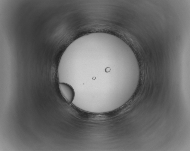 X0000111800463200907230959