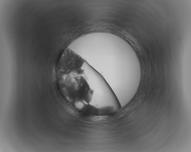 X0000111800465200907230959