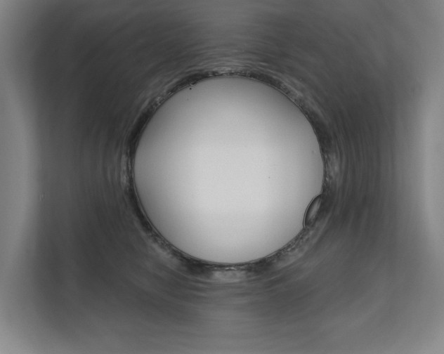 X0000111800470200907230959