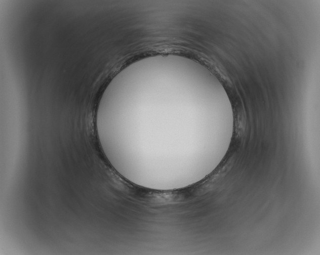 X0000111800473200907230959